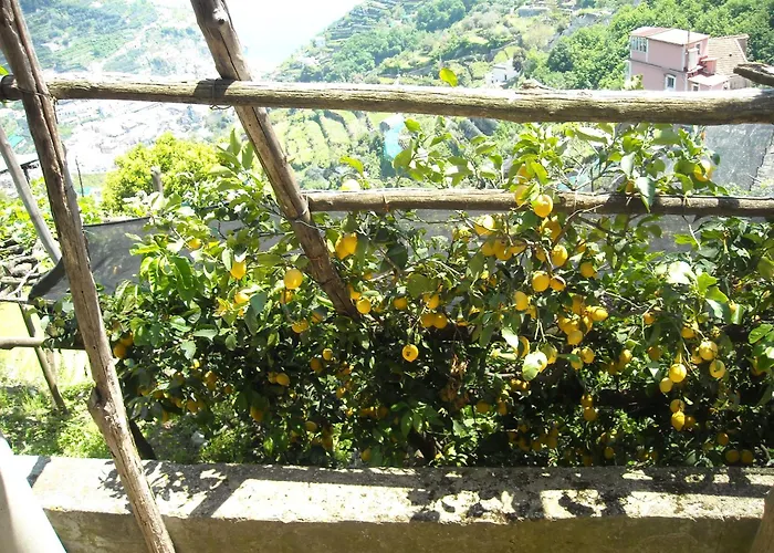 Il Rifugio Del Poeta